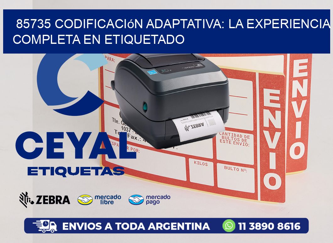 85735 Codificación Adaptativa: La Experiencia Completa en Etiquetado