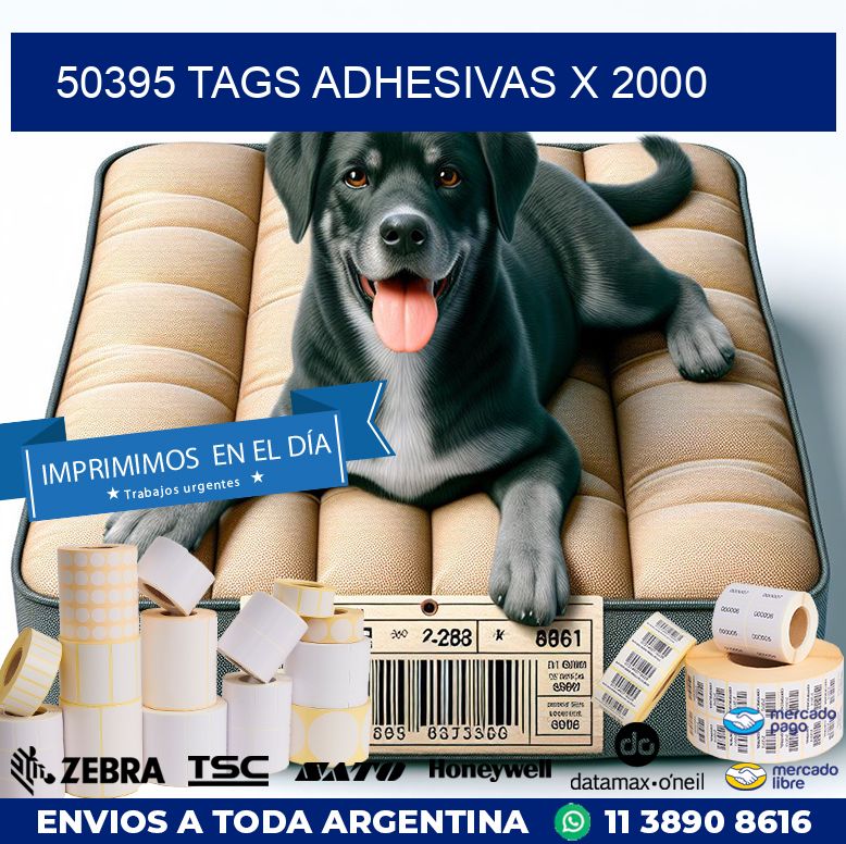 50395 TAGS ADHESIVAS X 2000