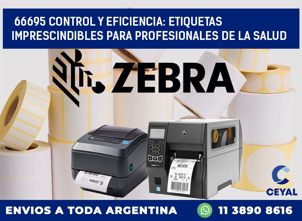 66695 CONTROL Y EFICIENCIA: ETIQUETAS IMPRESCINDIBLES PARA PROFESIONALES DE LA SALUD