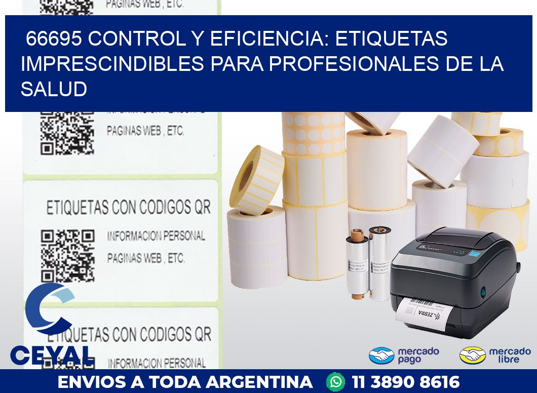 66695 CONTROL Y EFICIENCIA: ETIQUETAS IMPRESCINDIBLES PARA PROFESIONALES DE LA SALUD