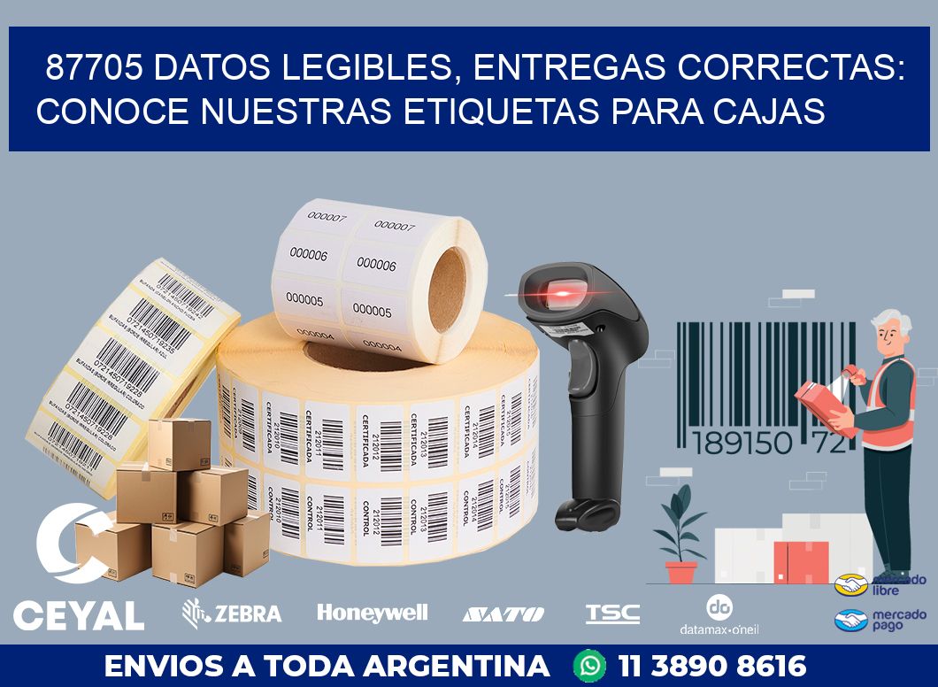 87705 DATOS LEGIBLES, ENTREGAS CORRECTAS: CONOCE NUESTRAS ETIQUETAS PARA CAJAS