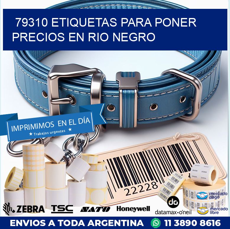 79310 ETIQUETAS PARA PONER PRECIOS EN RIO NEGRO