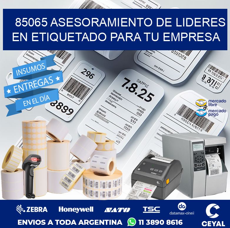 85065 ASESORAMIENTO DE LIDERES EN ETIQUETADO PARA TU EMPRESA