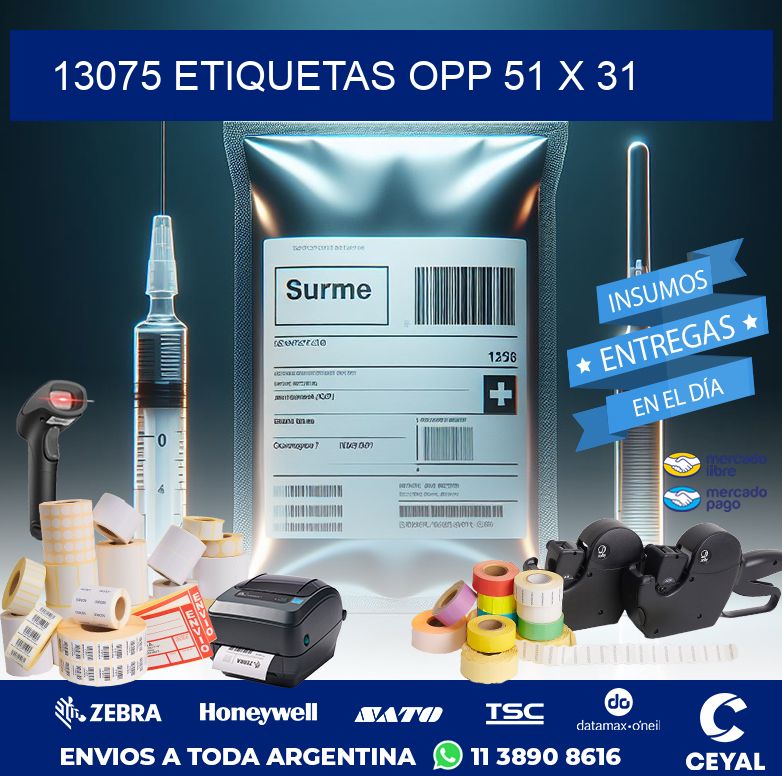 13075 ETIQUETAS OPP 51 X 31