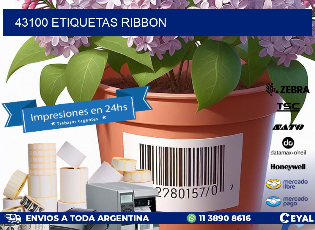 43100 ETIQUETAS RIBBON