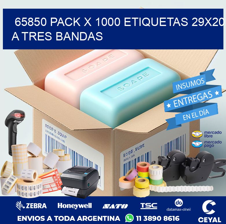 65850 PACK X 1000 ETIQUETAS 29X20 A TRES BANDAS
