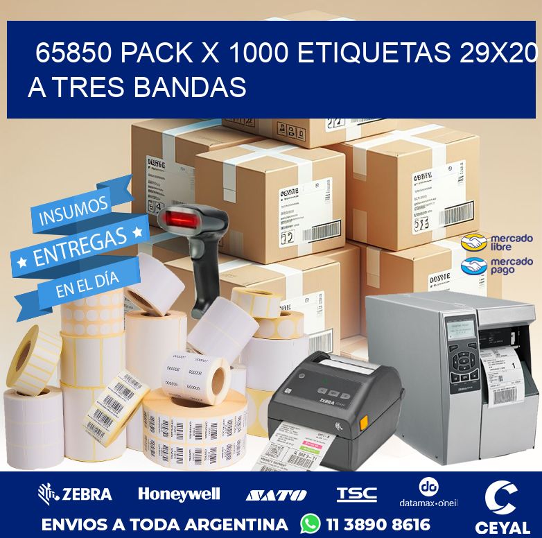 65850 PACK X 1000 ETIQUETAS 29X20 A TRES BANDAS