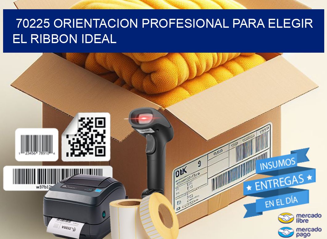 70225 ORIENTACION PROFESIONAL PARA ELEGIR EL RIBBON IDEAL