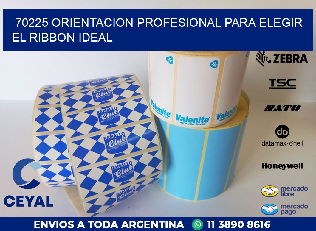 70225 ORIENTACION PROFESIONAL PARA ELEGIR EL RIBBON IDEAL