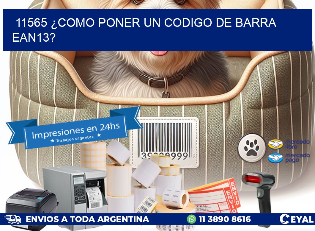 11565 ¿COMO PONER UN CODIGO DE BARRA  EAN13?