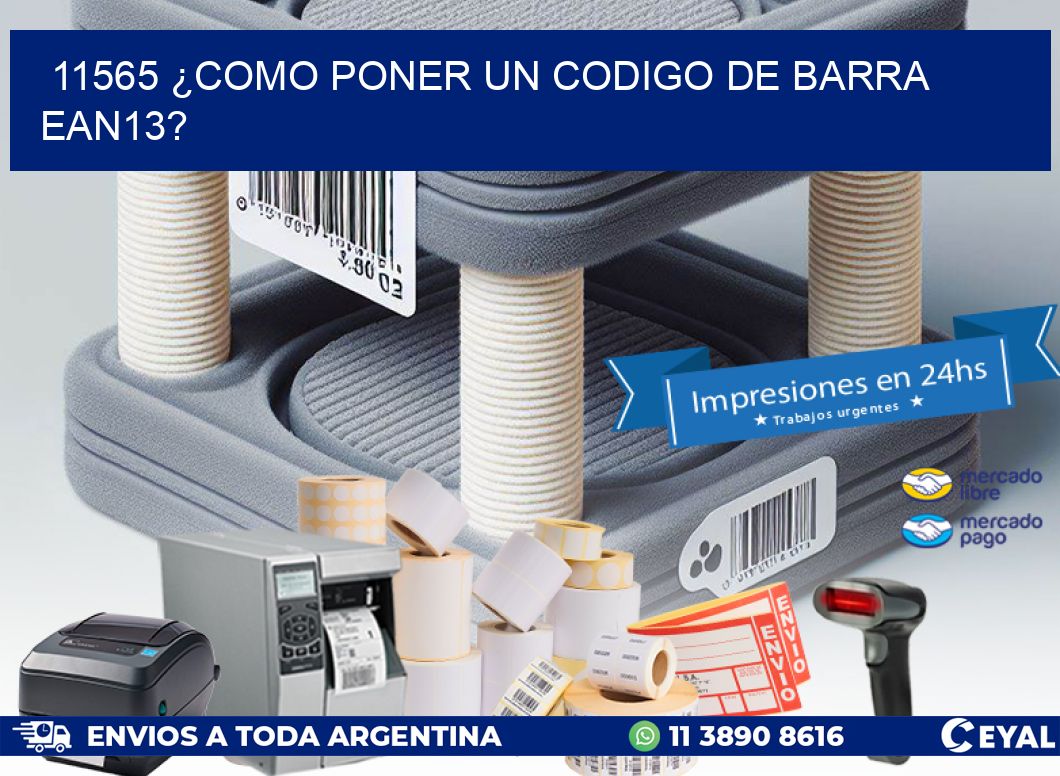 11565 ¿COMO PONER UN CODIGO DE BARRA  EAN13?