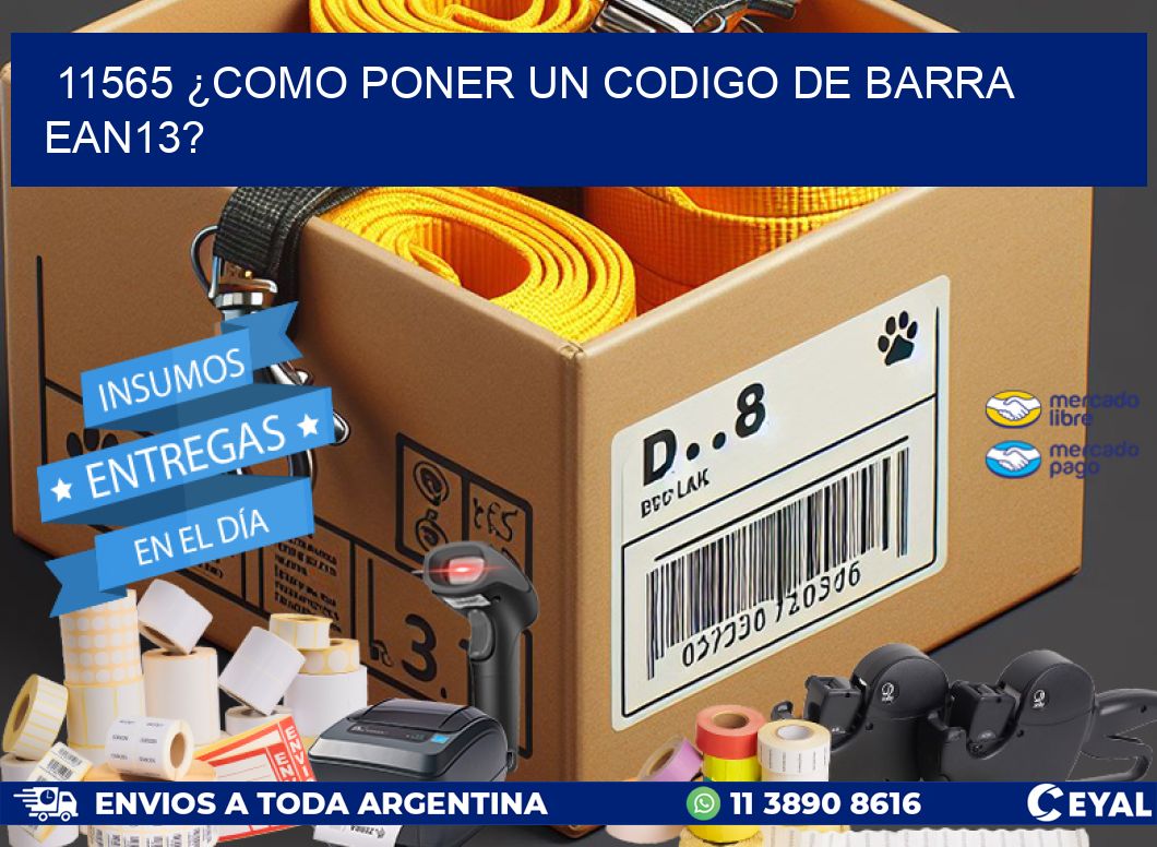 11565 ¿COMO PONER UN CODIGO DE BARRA  EAN13?