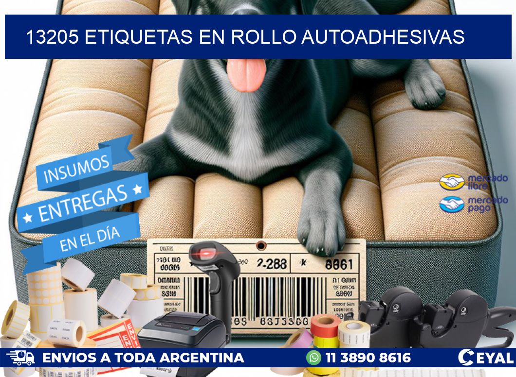 13205 ETIQUETAS EN ROLLO AUTOADHESIVAS