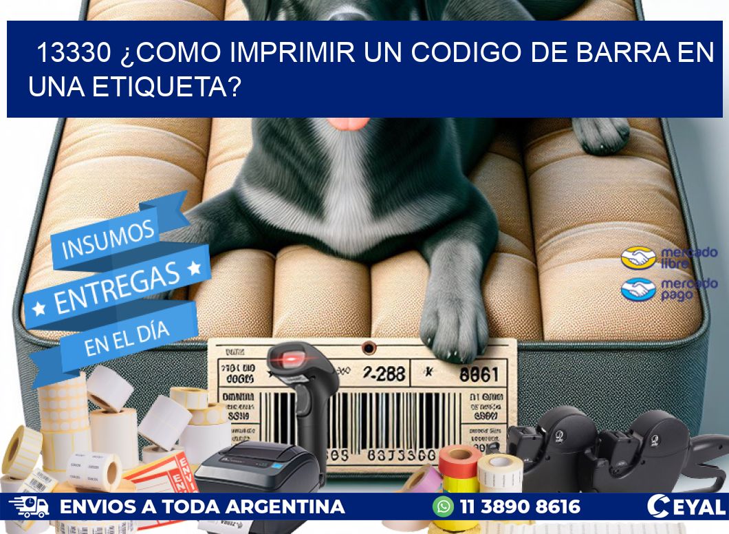 13330 ¿COMO IMPRIMIR UN CODIGO DE BARRA EN  UNA ETIQUETA?