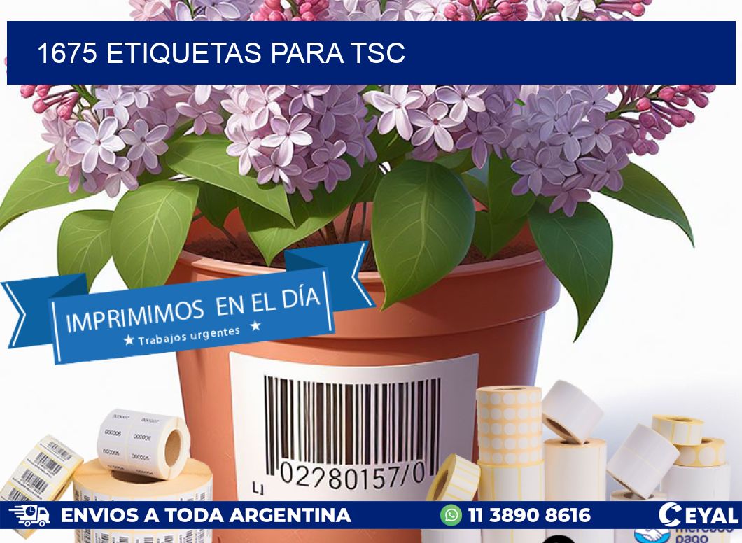 1675 ETIQUETAS PARA TSC