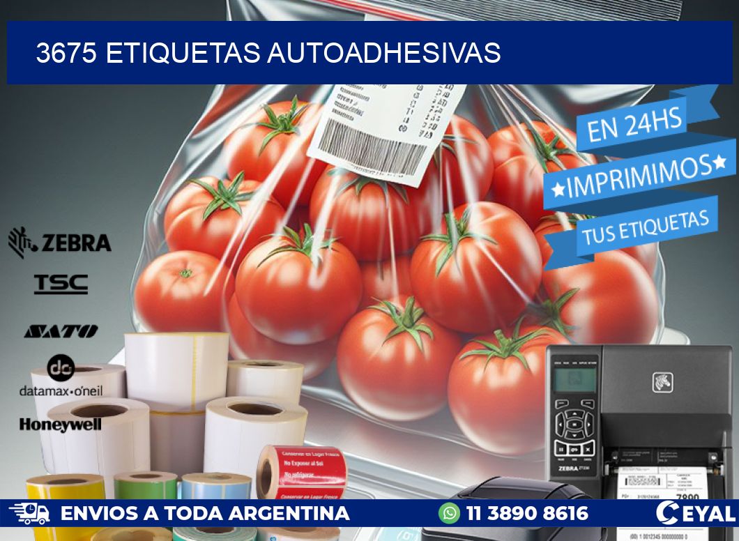 3675 ETIQUETAS AUTOADHESIVAS