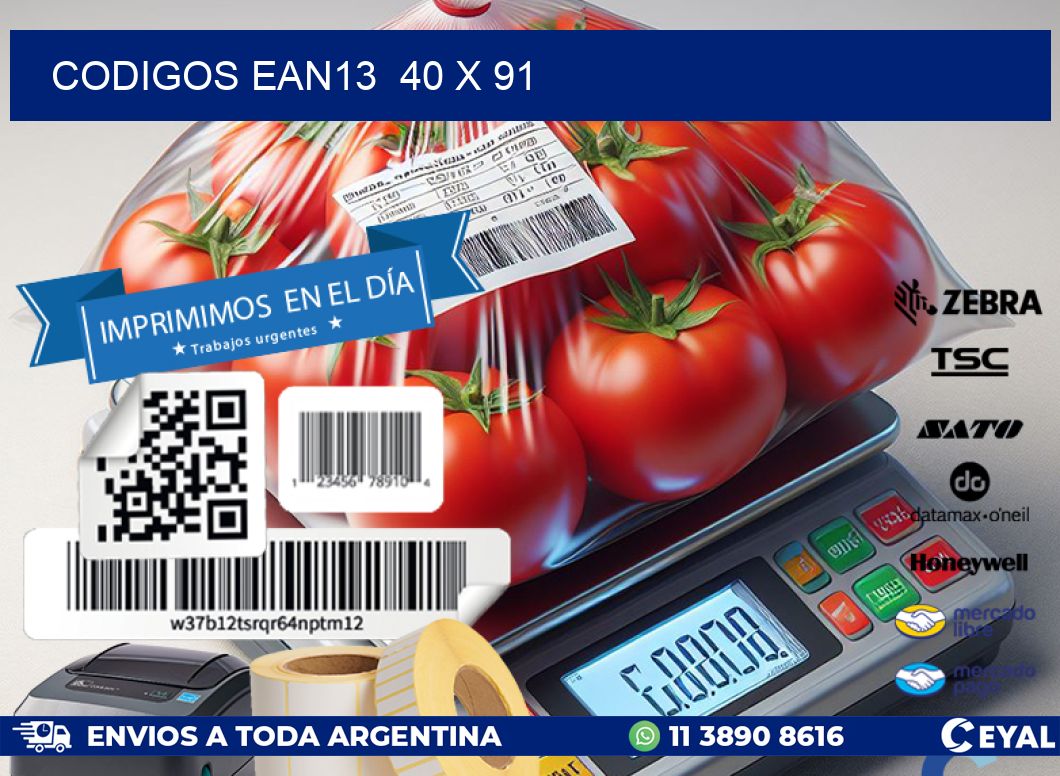 CODIGOS EAN13  40 x 91