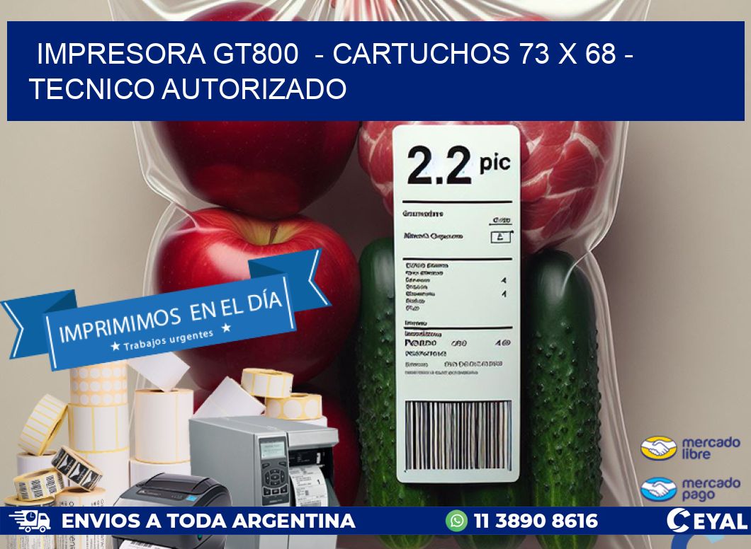 IMPRESORA GT800  - CARTUCHOS 73 x 68 - TECNICO AUTORIZADO