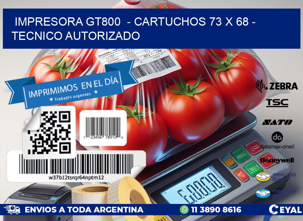 IMPRESORA GT800  - CARTUCHOS 73 x 68 - TECNICO AUTORIZADO
