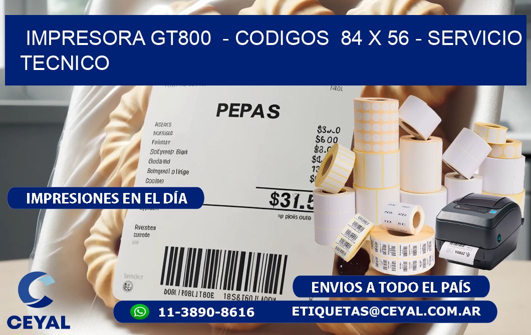 IMPRESORA GT800  - CODIGOS  84 x 56 - SERVICIO TECNICO
