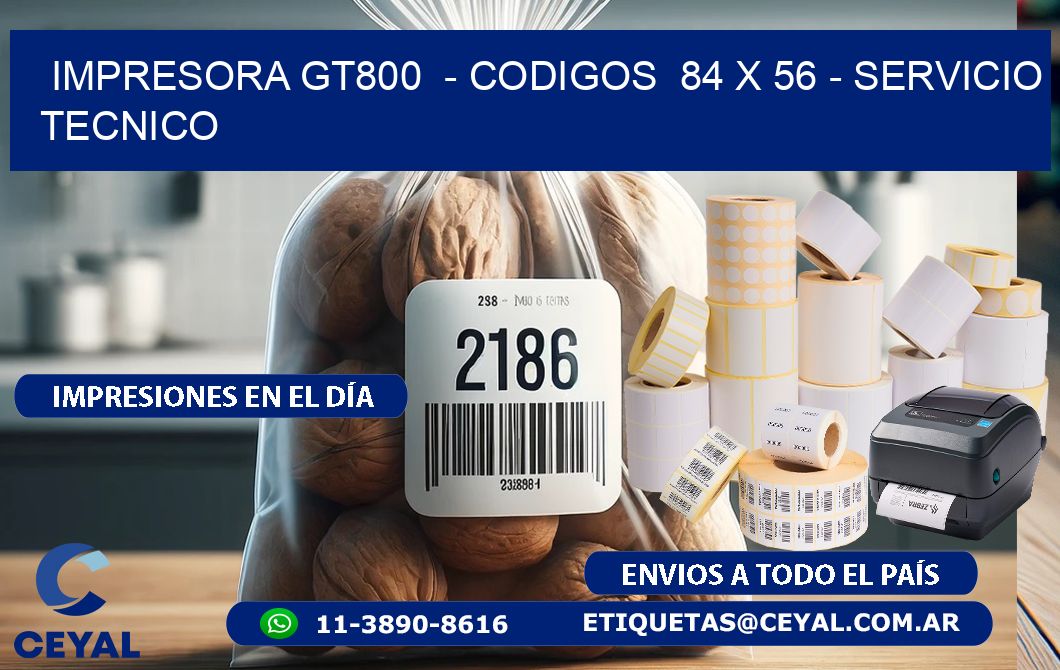 IMPRESORA GT800  - CODIGOS  84 x 56 - SERVICIO TECNICO