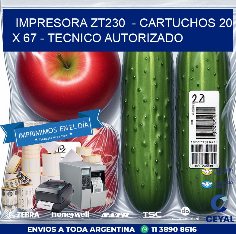 IMPRESORA ZT230  – CARTUCHOS 20 x 67 – TECNICO AUTORIZADO
