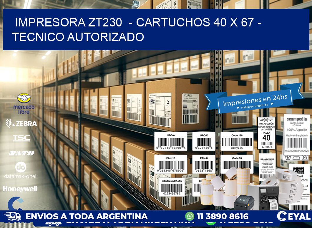 IMPRESORA ZT230  - CARTUCHOS 40 x 67 - TECNICO AUTORIZADO