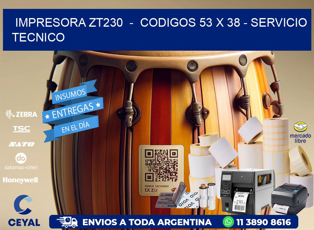 IMPRESORA ZT230  -  CODIGOS 53 x 38 - SERVICIO TECNICO