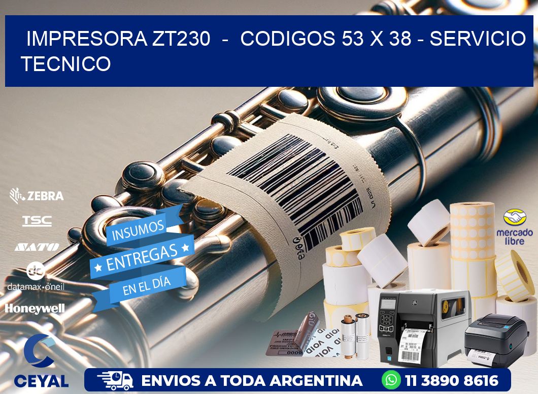 IMPRESORA ZT230  -  CODIGOS 53 x 38 - SERVICIO TECNICO