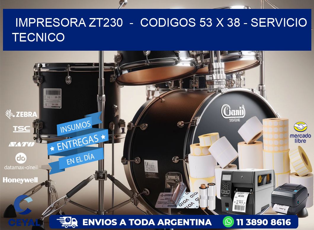 IMPRESORA ZT230  –  CODIGOS 53 x 38 – SERVICIO TECNICO