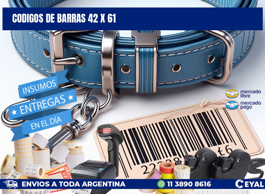 codigos de barras 42 x 61