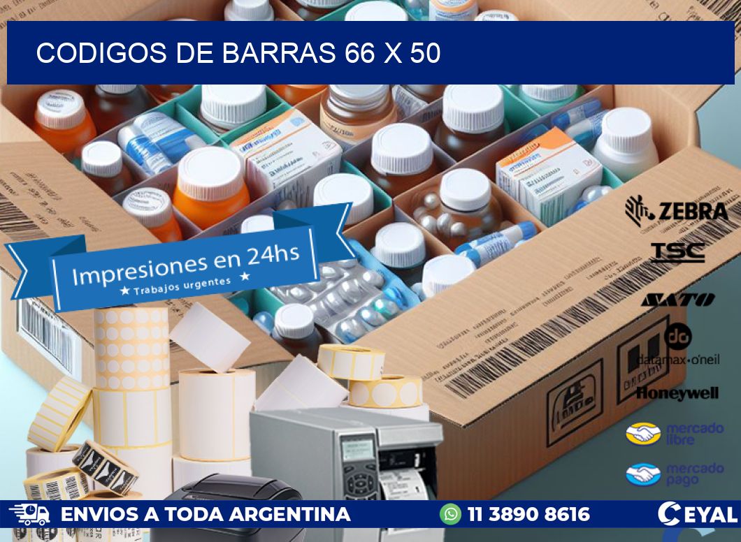 codigos de barras 66 x 50