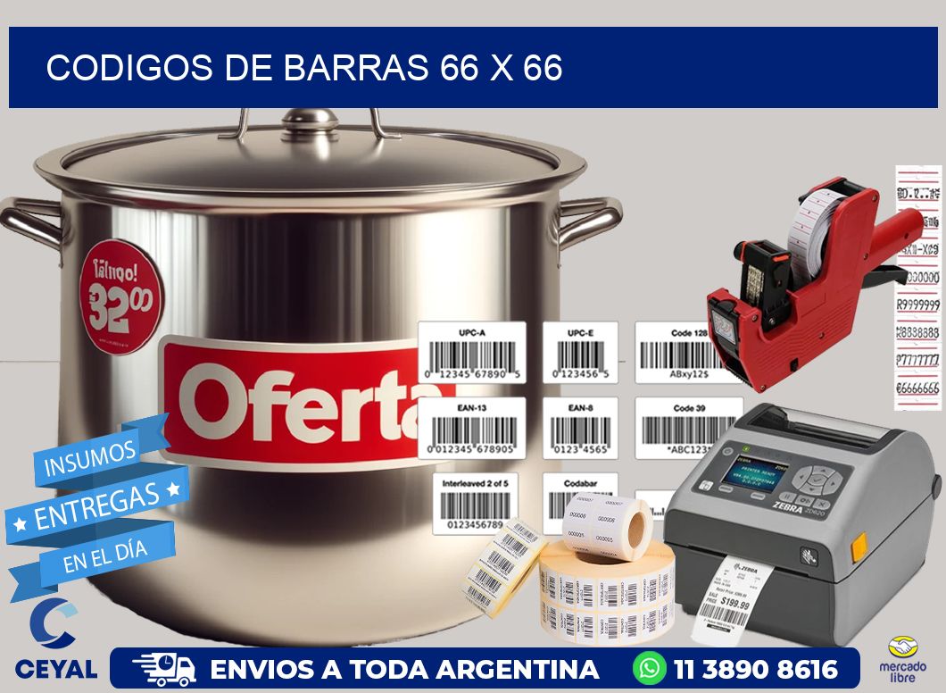 codigos de barras 66 x 66