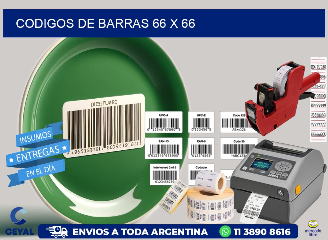 codigos de barras 66 x 66