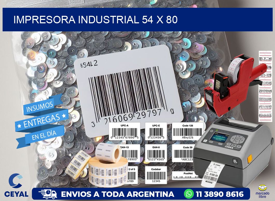 impresora industrial 54 x 80