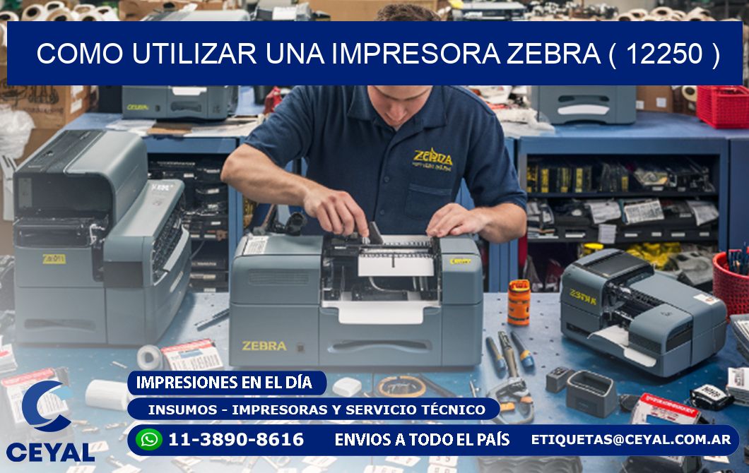 COMO UTILIZAR UNA IMPRESORA ZEBRA ( 12250 )