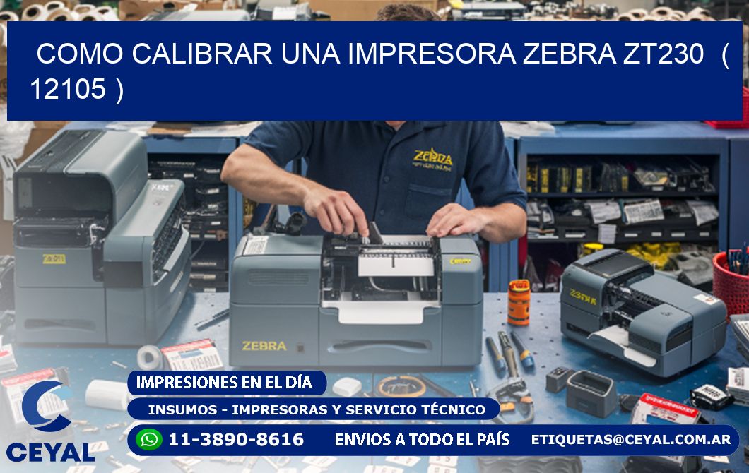 como calibrar una impresora zebra zt230  ( 12105 )