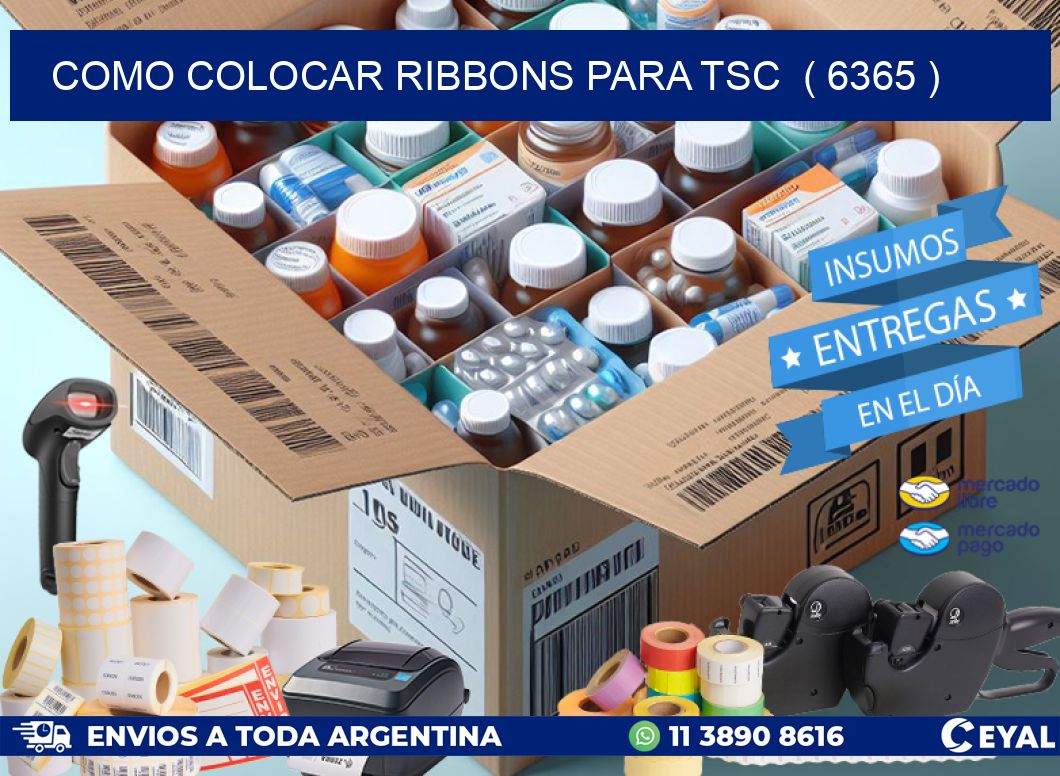 COMO COLOCAR RIBBONS PARA TSC  ( 6365 )