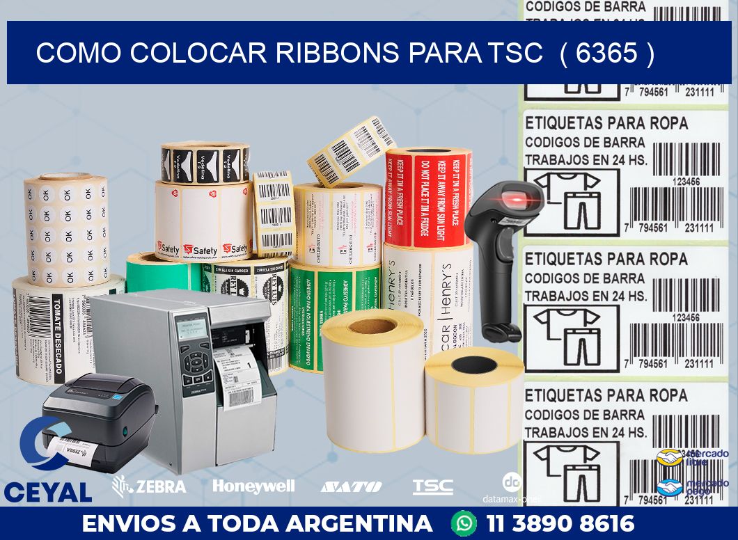 COMO COLOCAR RIBBONS PARA TSC  ( 6365 )