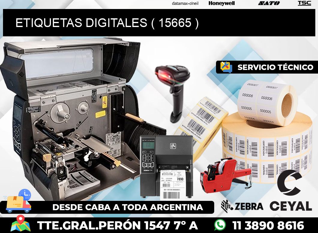 ETIQUETAS DIGITALES ( 15665 )