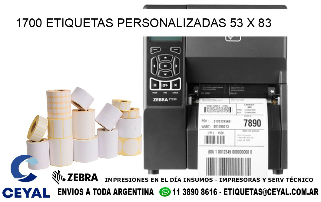 1700 ETIQUETAS PERSONALIZADAS 53 x 83