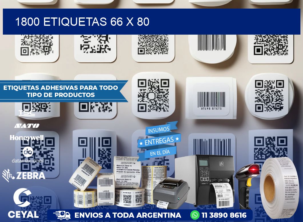 1800 ETIQUETAS 66 x 80