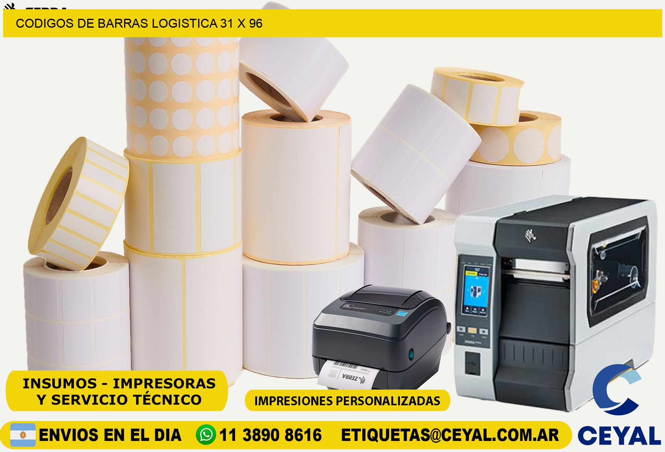 CODIGOS DE BARRAS LOGISTICA 31 x 96