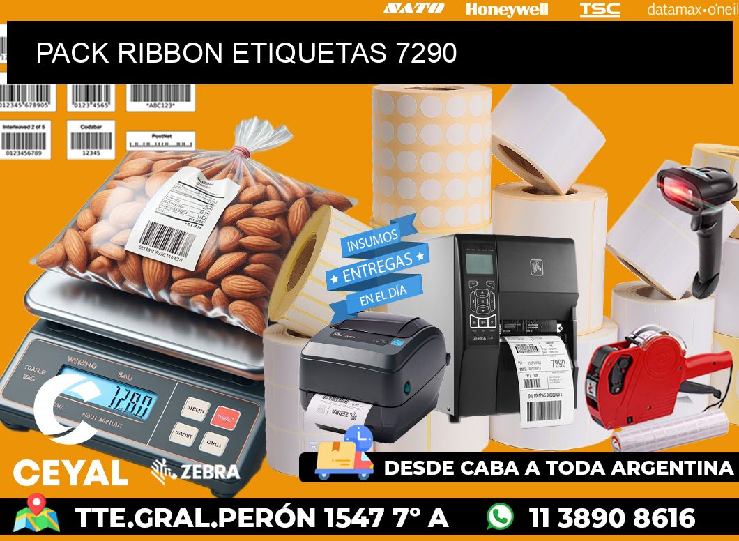 PACK RIBBON ETIQUETAS 7290