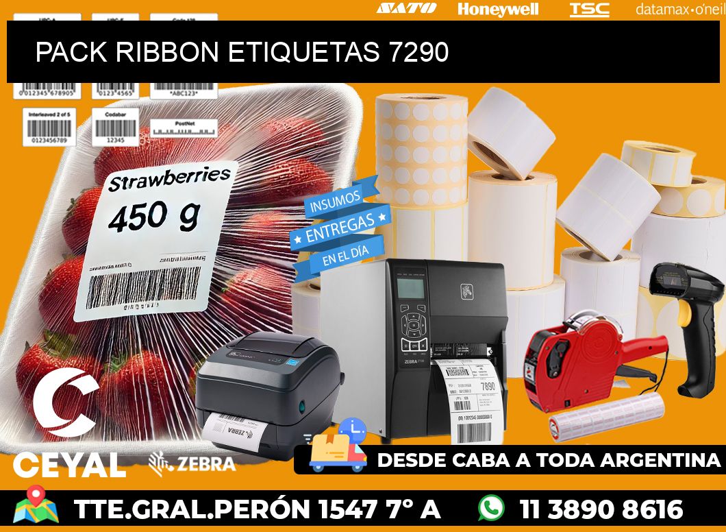PACK RIBBON ETIQUETAS 7290