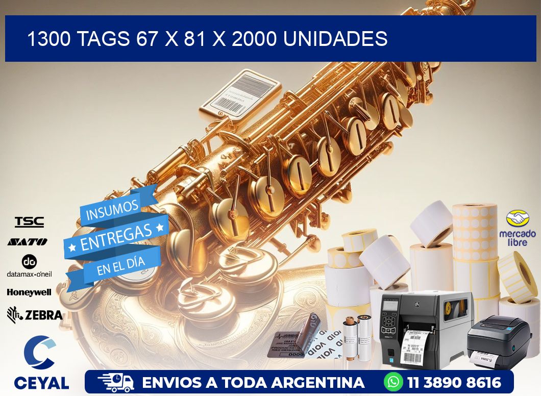 1300 TAGS 67 x 81 X 2000 UNIDADES