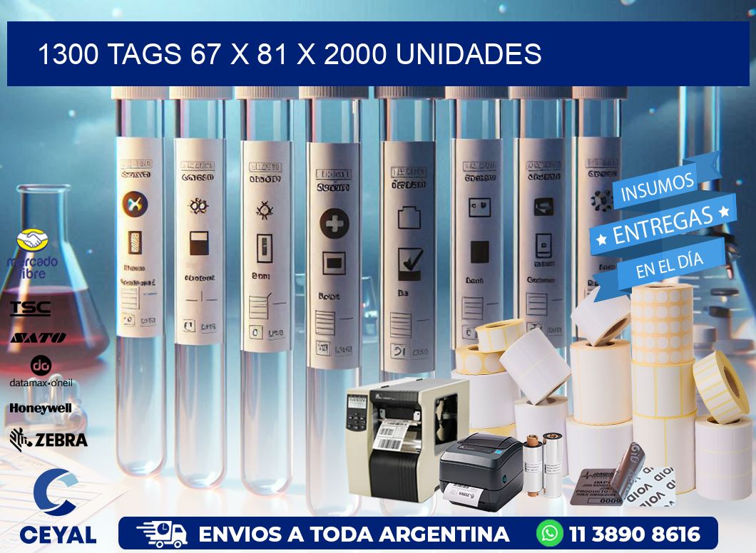 1300 TAGS 67 x 81 X 2000 UNIDADES