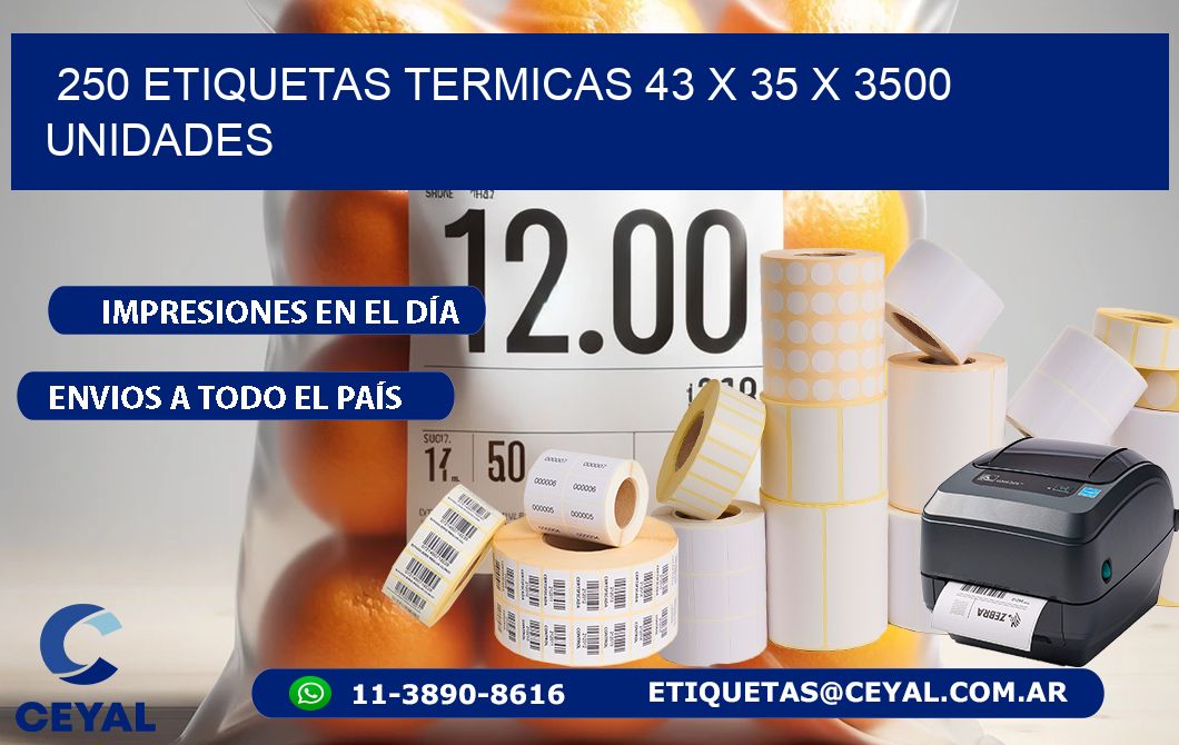 250 ETIQUETAS TERMICAS 43 x 35 X 3500 UNIDADES