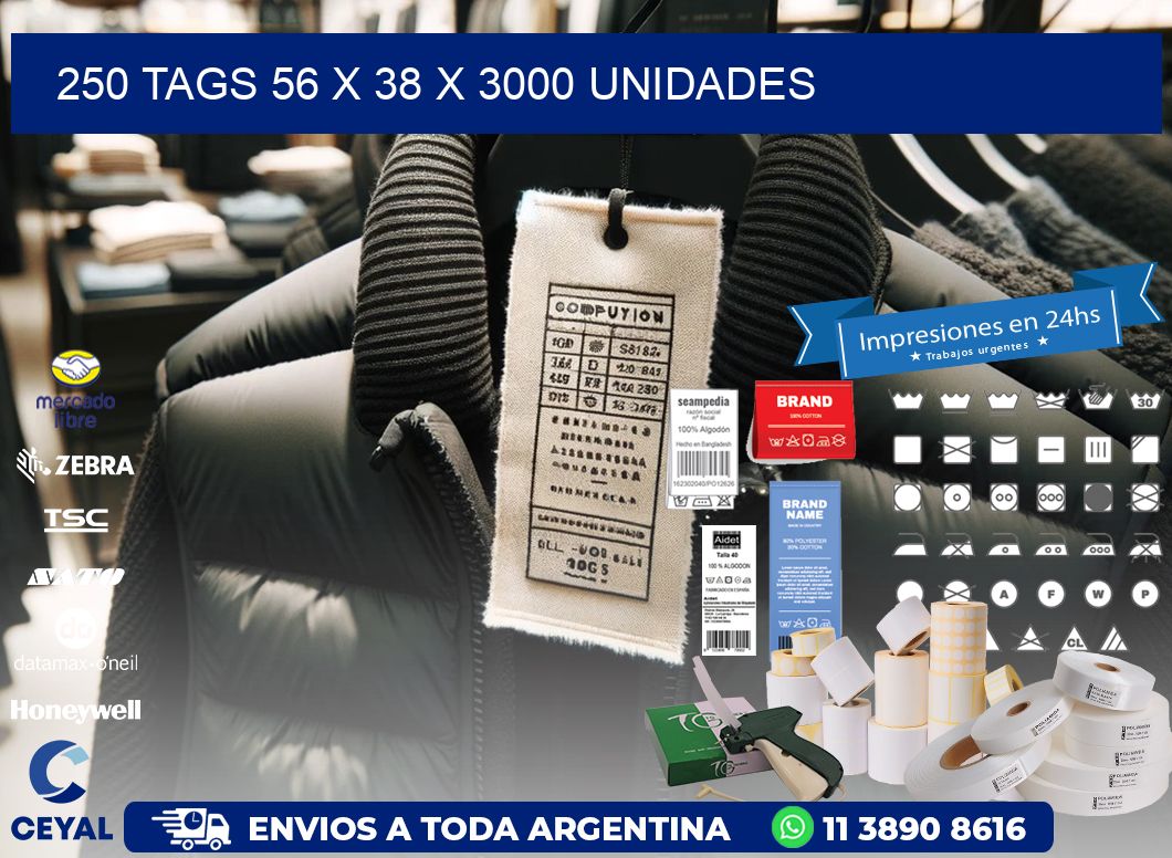 250 TAGS 56 x 38 X 3000 UNIDADES