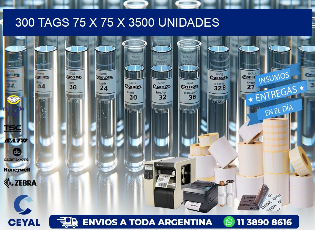 300 TAGS 75 x 75 X 3500 UNIDADES